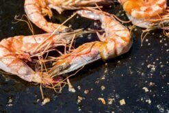 OFYR Kookboek 12 OFYR Kookboek -Camping Verkoop 800 1200 cb no1 nl fr 3