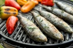 CADAC Grillo Chef 40 Gasbarbecue - BBQ/Chef Pan -Camping Verkoop 900 1348 grillo chef 40 bbq grid