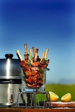 Cobb Pro Premier Air Houtskoolbarbecue - Grijs -Camping Verkoop cobb premier 3