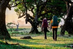 Osprey Renn Backpack - 50 Liter - Paars -Camping Verkoop osprey rennrook 4